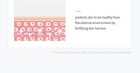 7 Ceramide Perfume Shower Gel - 5 Types - Cherry Blossom