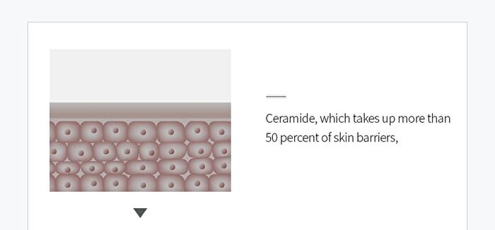 7 Ceramide Perfume Shower Gel - 5 Types - Baby Powder