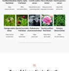 7 Ceramide Perfume Shower Gel - 5 Types - Baby Powder