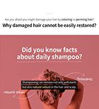 3 Salon Hair CMC Shampoo Mini - 150ml