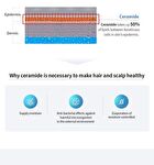 3 Salon Hair CMC Shampoo - 300ml