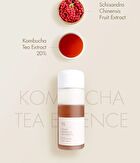 Vegan Kombucha Tea Special Set - 3 pcs