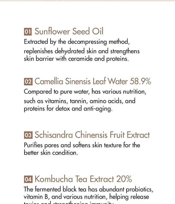 Vegan Kombucha Tea Special Set - 3 pcs