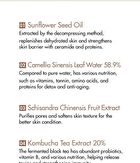 Vegan Kombucha Tea Special Set - 3 pcs