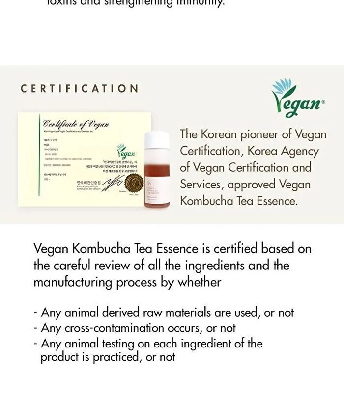 Vegan Kombucha Tea Special Set - 3 pcs