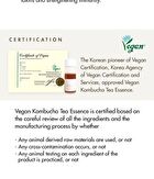Vegan Kombucha Tea Special Set - 3 pcs