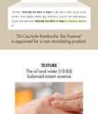 Vegan Kombucha Tea Special Set - 3 pcs
