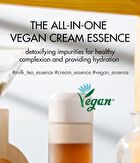 Vegan Kombucha Tea Special Set - 3 pcs
