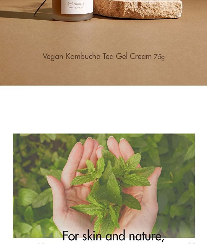 Vegan Kombucha Tea Special Set - 3 pcs