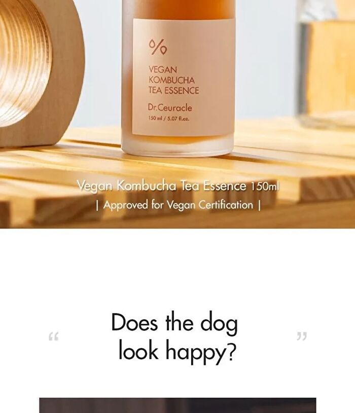 Vegan Kombucha Tea Special Set - 3 pcs