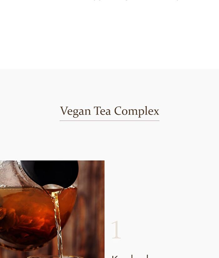 Vegan Kombucha Tea Special Set - 3 pcs