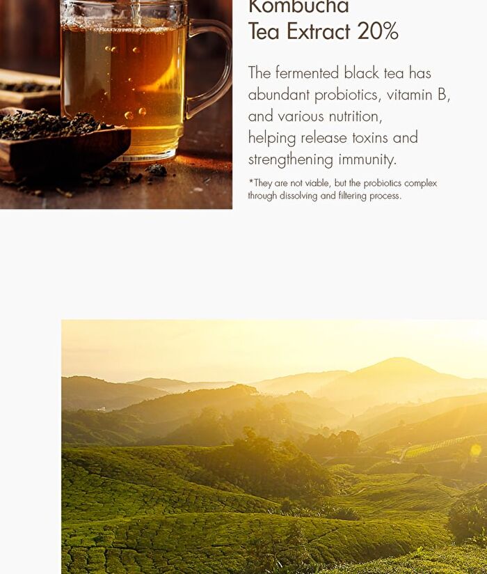 Vegan Kombucha Tea Special Set - 3 pcs
