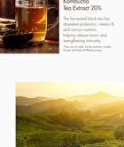 Vegan Kombucha Tea Special Set - 3 pcs