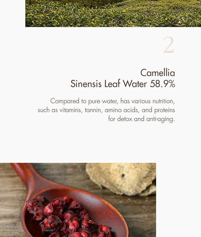 Vegan Kombucha Tea Special Set - 3 pcs