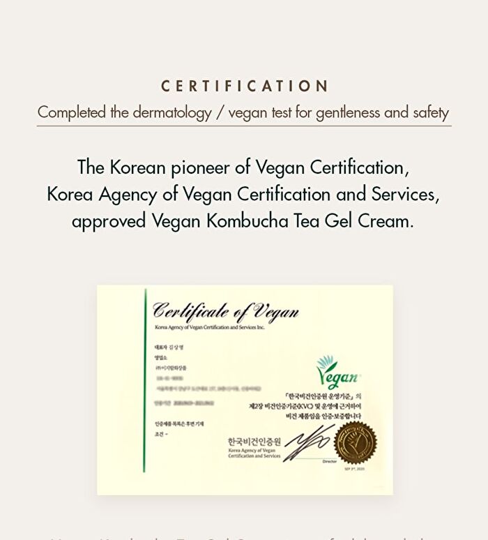 Vegan Kombucha Tea Special Set - 3 pcs