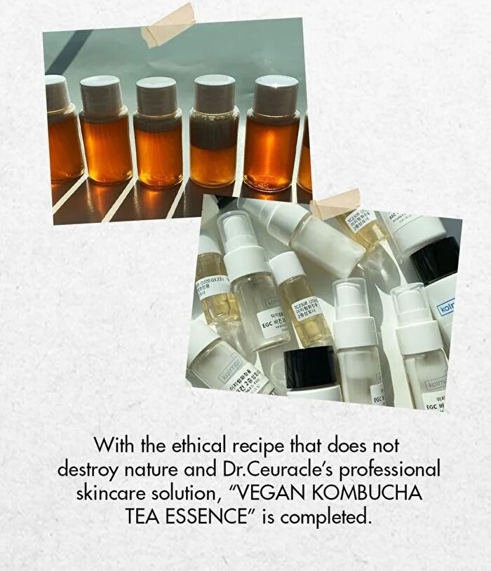 Vegan Kombucha Tea Special Set - 3 pcs