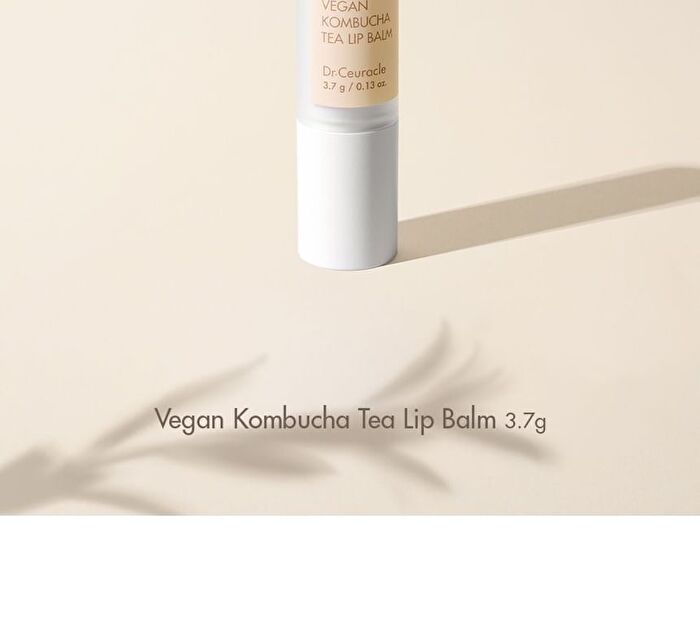 Vegan Kombucha Tea Special Set - 3 pcs
