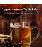 Vegan Kombucha Tea Special Set - 3 pcs