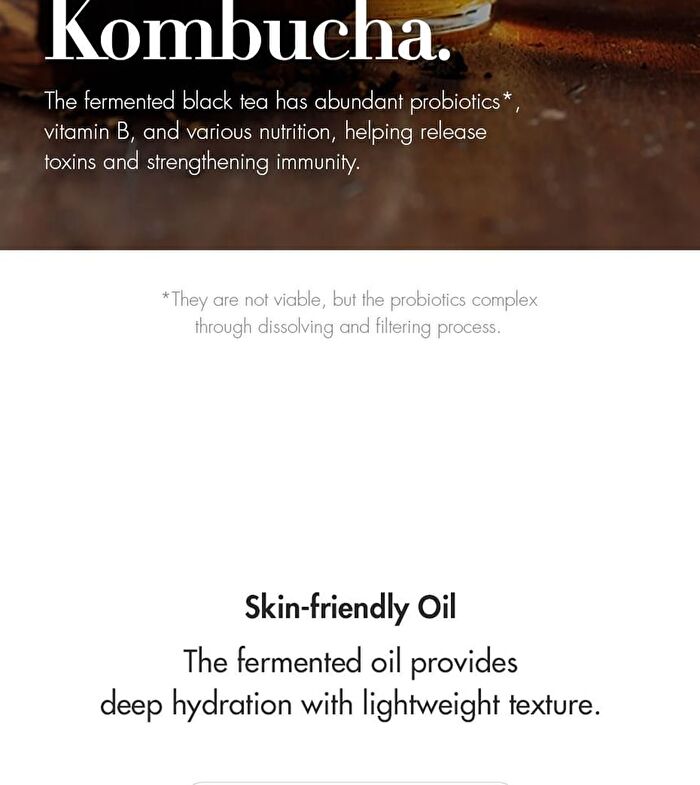 Vegan Kombucha Tea Special Set - 3 pcs