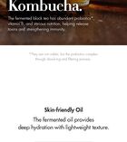 Vegan Kombucha Tea Special Set - 3 pcs