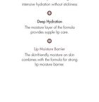 Vegan Kombucha Tea Special Set - 3 pcs