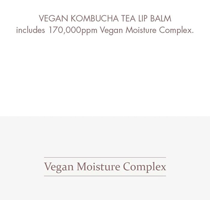 Vegan Kombucha Tea Special Set - 3 pcs
