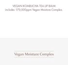 Vegan Kombucha Tea Special Set - 3 pcs