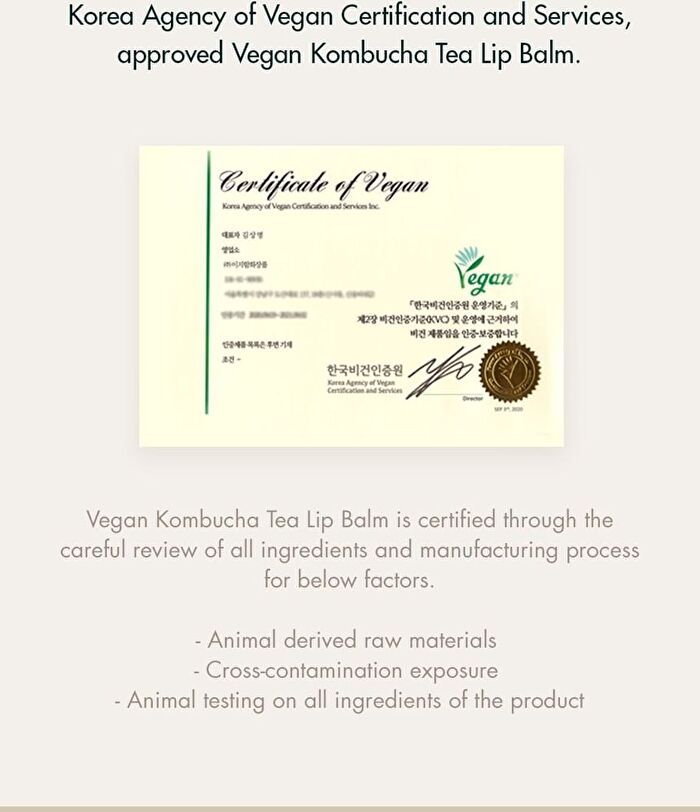 Vegan Kombucha Tea Special Set - 3 pcs