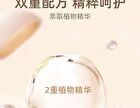 Lustrous Air Cushion Foundation with Refill - 2 Shades - Porcelain with Refill (12g x 2)