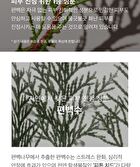 mixsoon Essence - 12 Types - Mung Bean Seed