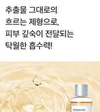 mixsoon Essence - 12 Types - Mung Bean Seed