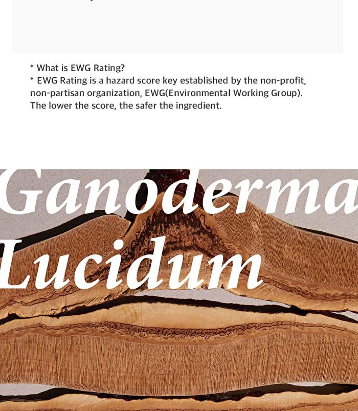 mixsoon Essence - 12 Types - Bifida Ferment