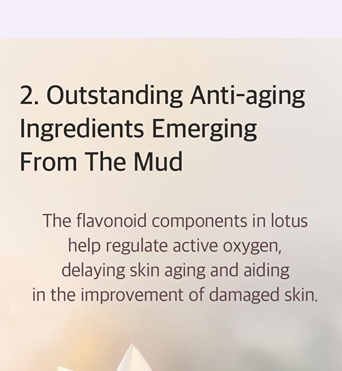 mixsoon Essence - 12 Types - Galactomyces Ferment