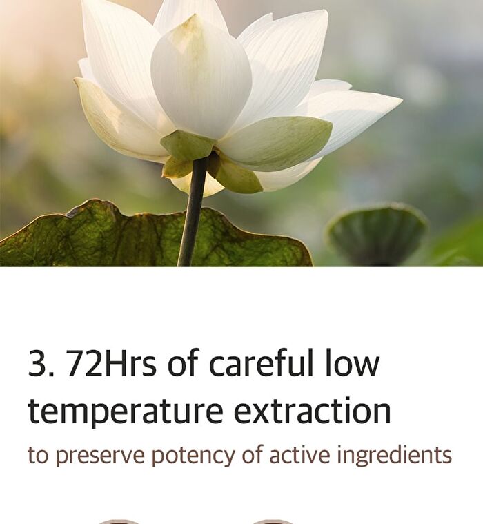 mixsoon Essence - 12 Types - Galactomyces Ferment