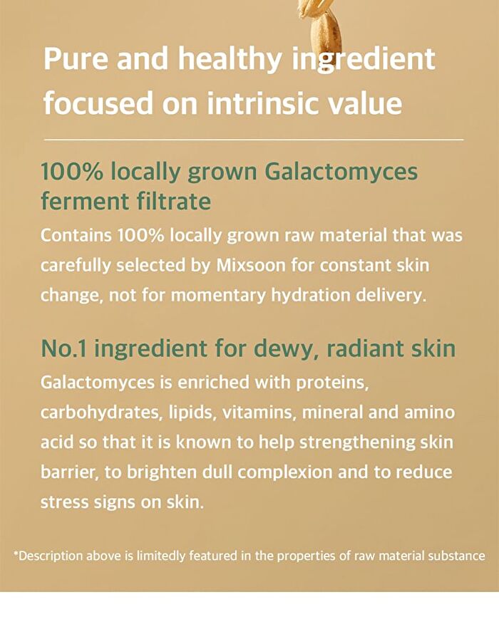mixsoon Essence - 12 Types - Hinoki