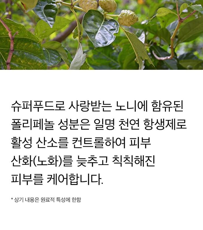 mixsoon Essence - 12 Types - Hinoki