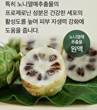 mixsoon Essence - 12 Types - Panax Ginseng Root