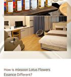 mixsoon Essence - 12 Types - Panax Ginseng Root