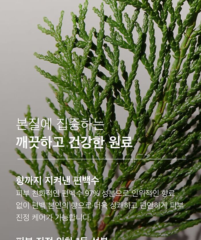 mixsoon Essence - 12 Types - Daisy