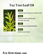 mixsoon Essential Blending Oil - 6 Types - Monday