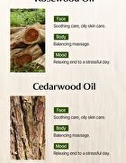 mixsoon Essential Blending Oil - 6 Types - Wednesday