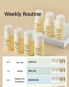 mixsoon Essential Blending Oil - 6 Types - Friday