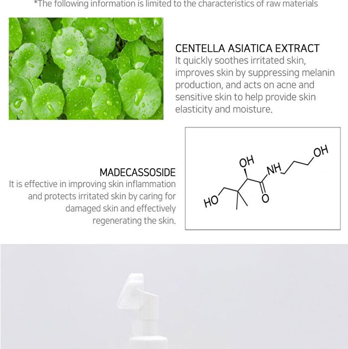 Bubble Chewy Foam - 4 Types - Centella