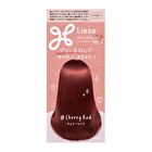 Liese Tint Color Gel  Hair Color - Mocha Greige - 191ml
