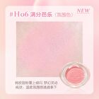 Hold Live Soft Powder Blusher (5-7) - #H06 - 5.2g