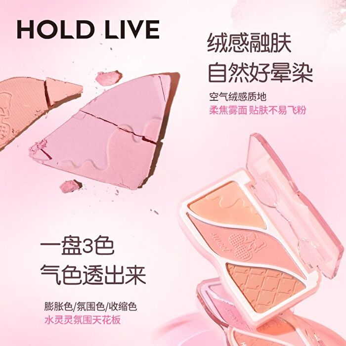 Hold Live Triple-Color Powder Blusher (1-2) - #H02 - 9g