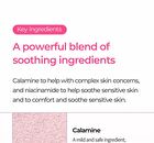 Melting Cleanser - 150ml
