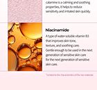 Melting Cleanser - 150ml