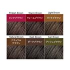 Blaune Retouch Magic Hair Mascara - Light Brown - 14ml