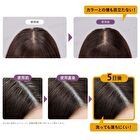 Blaune Retouch Magic Hair Mascara - Light Brown - 14ml